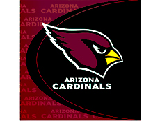 Arizona Cardinals Party Supplies