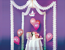 Bridal Shower Party Supplies