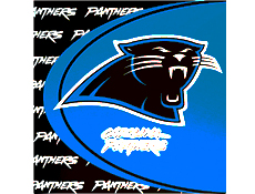 Carolina Panthers Party Supplies